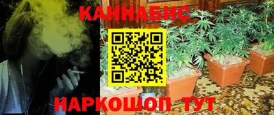 ешки Будённовск