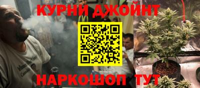 ешки Будённовск