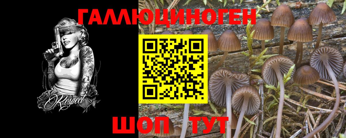 Липецк  Псилоцибиновые грибы Psilocybine cubensis  Вход с VPN 